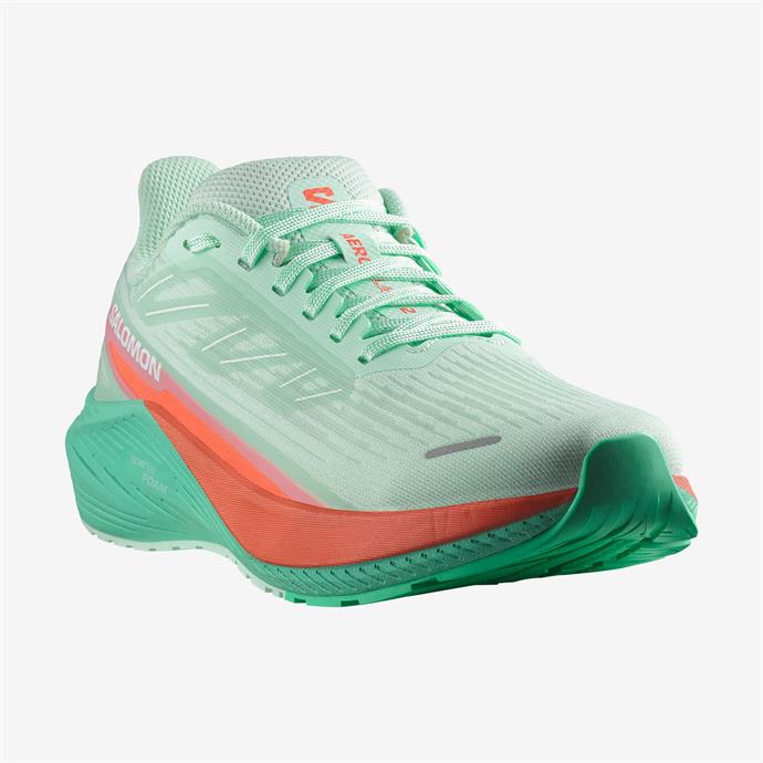 csUrun.UrunSecenek[0].StokKodu_4