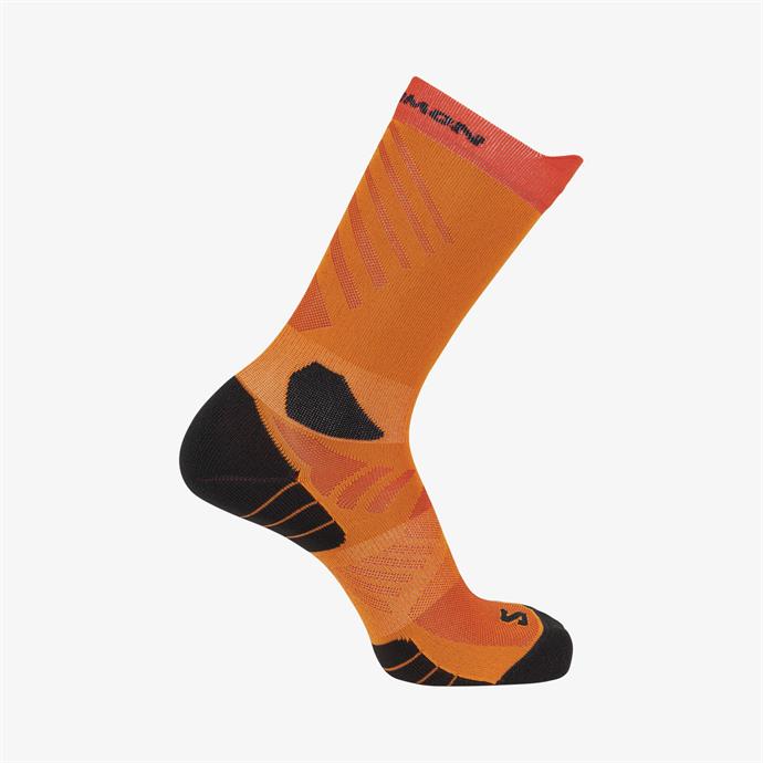 csUrun.UrunSecenek[0].StokKodu_0