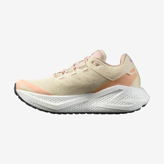 csUrun.UrunSecenek[0].StokKodu_2