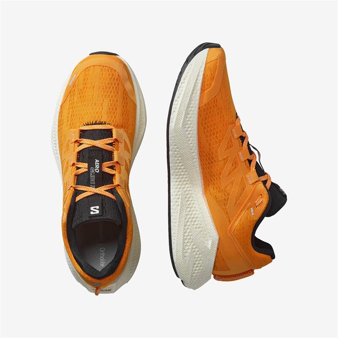 csUrun.UrunSecenek[0].StokKodu_1