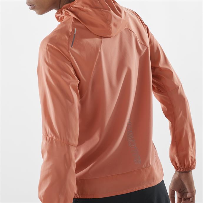 csUrun.UrunSecenek[0].StokKodu_2