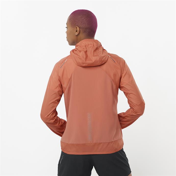 csUrun.UrunSecenek[0].StokKodu_1