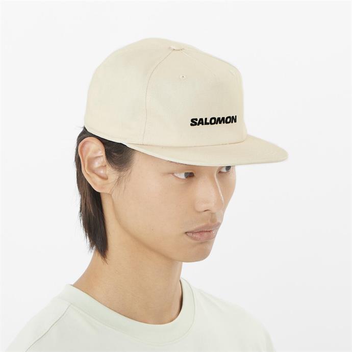 csUrun.UrunSecenek[0].StokKodu_1