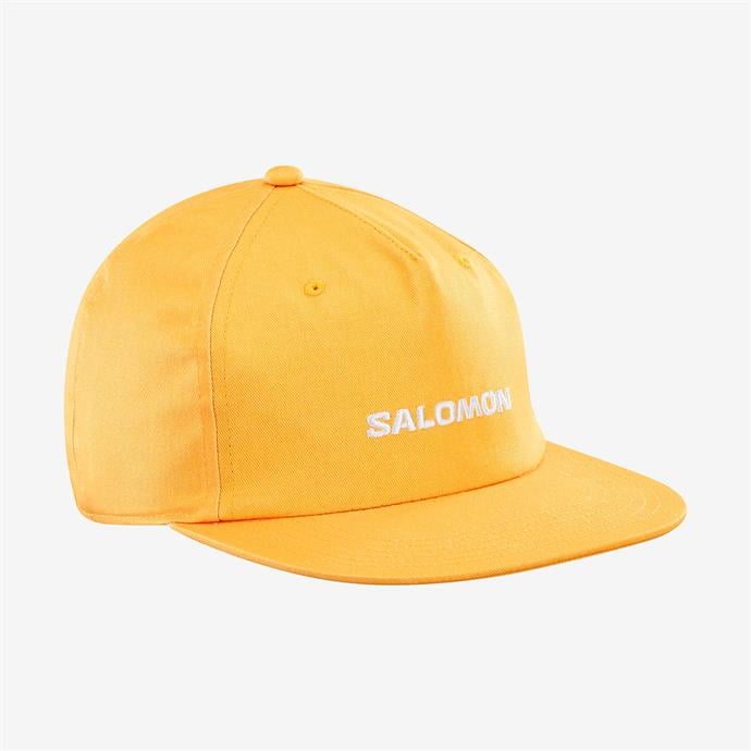 csUrun.UrunSecenek[0].StokKodu_0