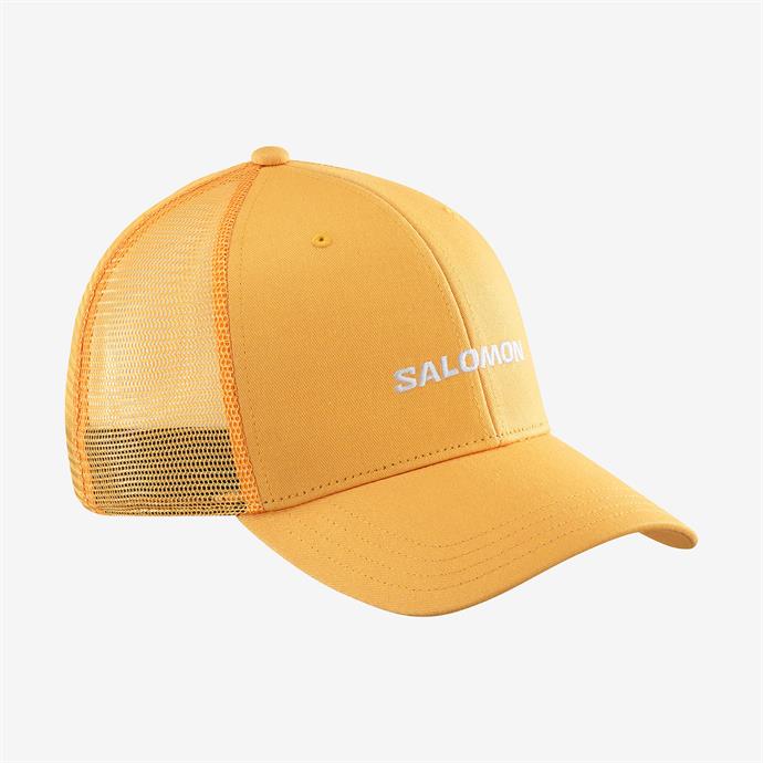 csUrun.UrunSecenek[0].StokKodu_0