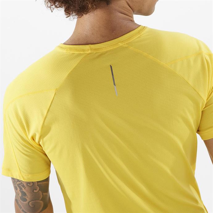 csUrun.UrunSecenek[0].StokKodu_3