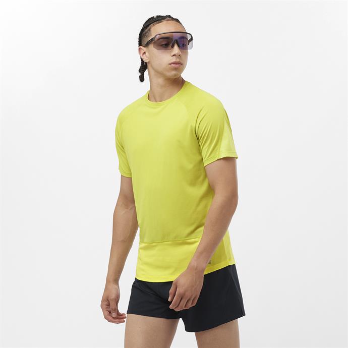 csUrun.UrunSecenek[0].StokKodu_0