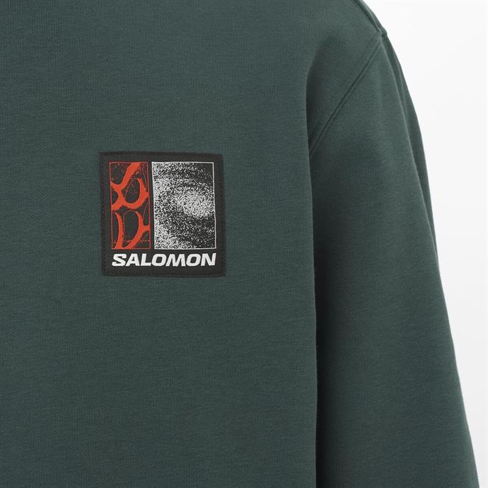 csUrun.UrunSecenek[0].StokKodu_7