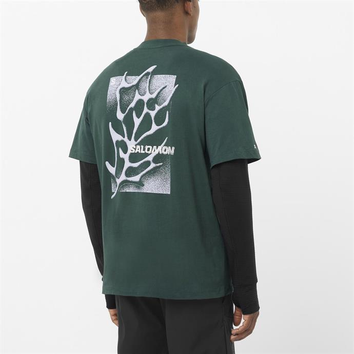 csUrun.UrunSecenek[0].StokKodu_4