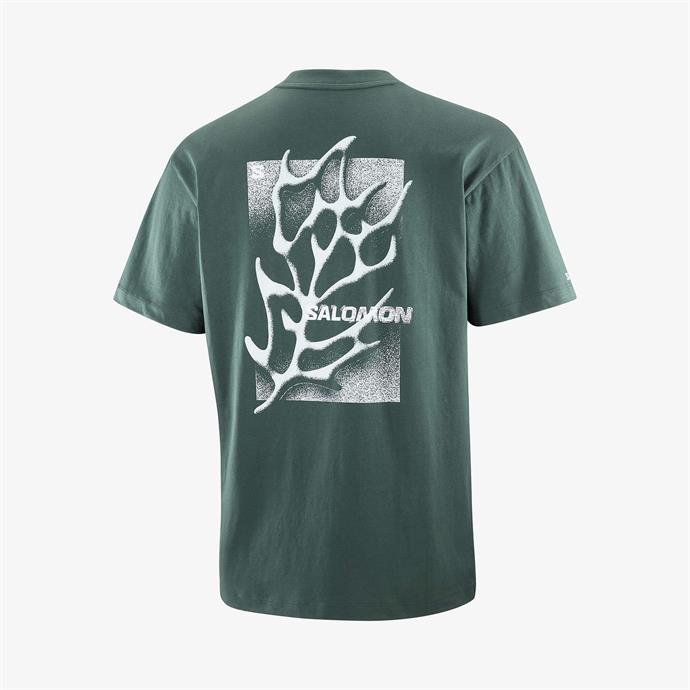 csUrun.UrunSecenek[0].StokKodu_1