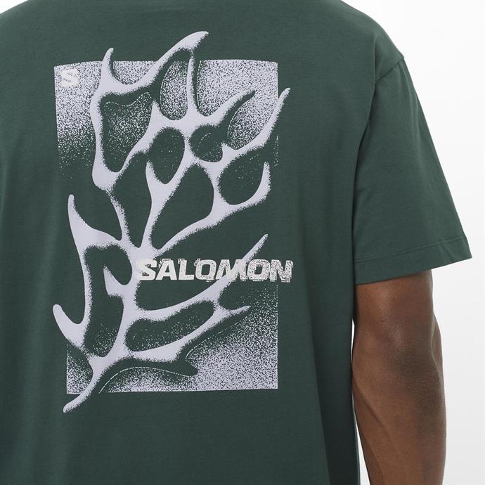 csUrun.UrunSecenek[0].StokKodu_7