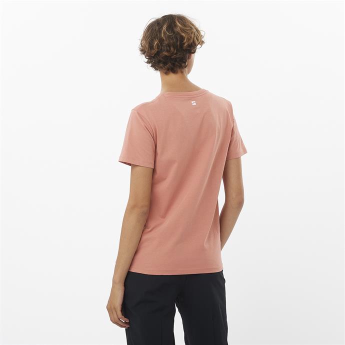 csUrun.UrunSecenek[0].StokKodu_1