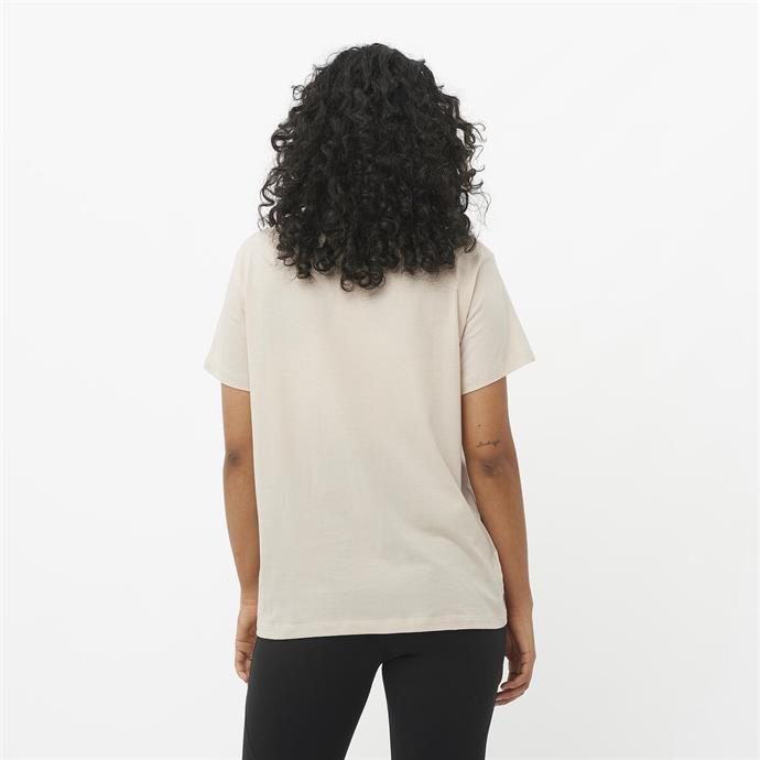 csUrun.UrunSecenek[0].StokKodu_1