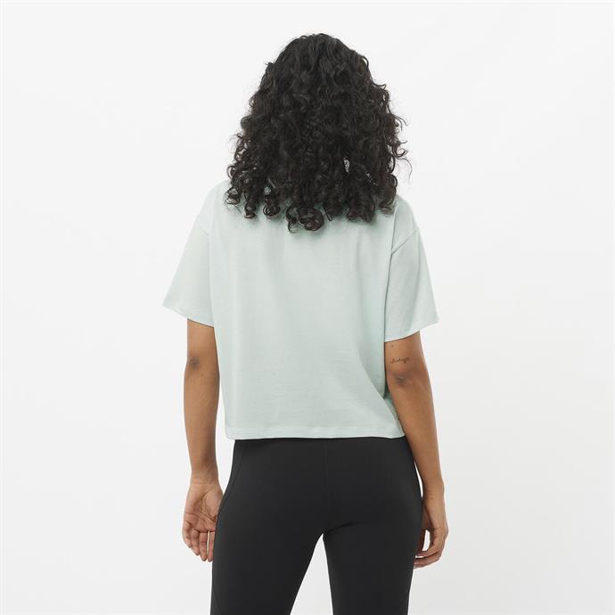 csUrun.UrunSecenek[0].StokKodu_1