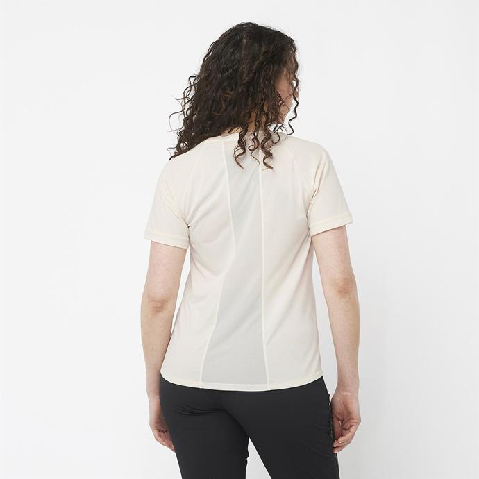 csUrun.UrunSecenek[0].StokKodu_1