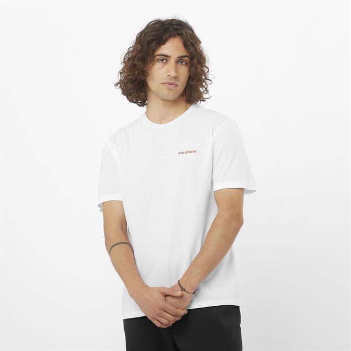 csUrun.UrunSecenek[0].StokKodu_0