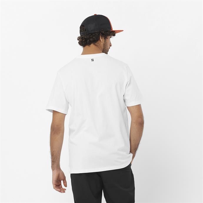 csUrun.UrunSecenek[0].StokKodu_1