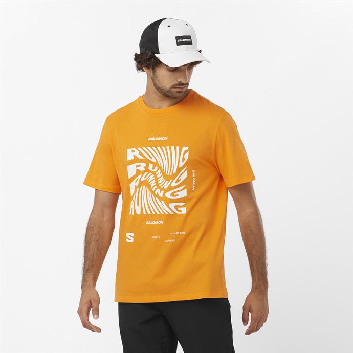 csUrun.UrunSecenek[0].StokKodu_0