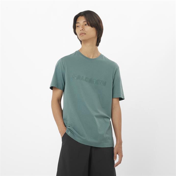 csUrun.UrunSecenek[0].StokKodu_1