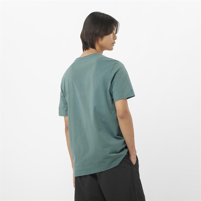 csUrun.UrunSecenek[0].StokKodu_2