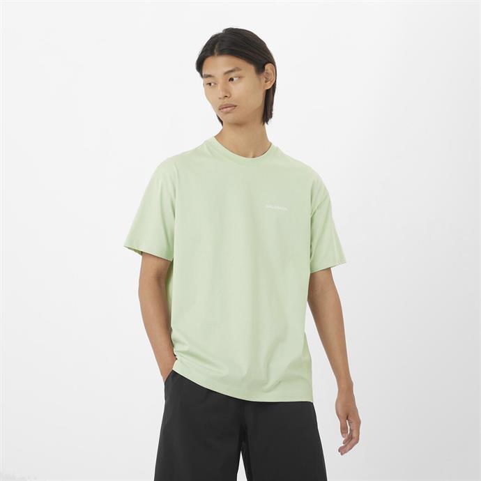 csUrun.UrunSecenek[0].StokKodu_1