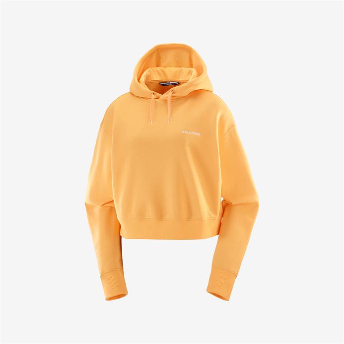 csUrun.UrunSecenek[0].StokKodu_0