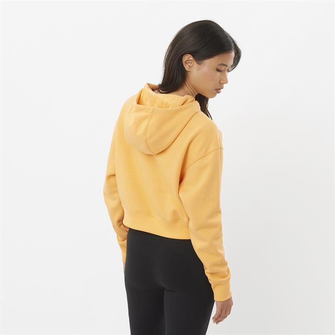 csUrun.UrunSecenek[0].StokKodu_2