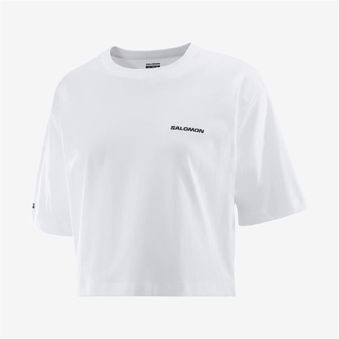 csUrun.UrunSecenek[0].StokKodu_0