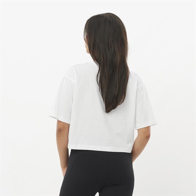 csUrun.UrunSecenek[0].StokKodu_2