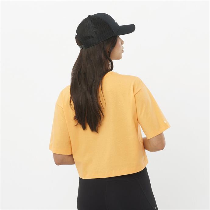 csUrun.UrunSecenek[0].StokKodu_2