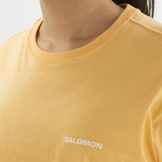 csUrun.UrunSecenek[0].StokKodu_3