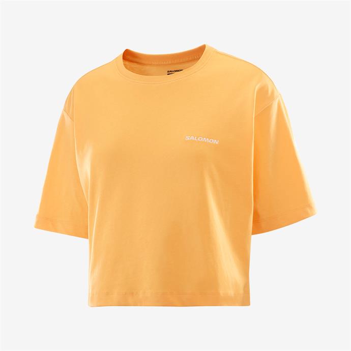 csUrun.UrunSecenek[0].StokKodu_0