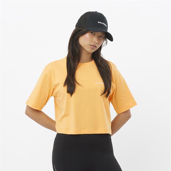 csUrun.UrunSecenek[0].StokKodu_1