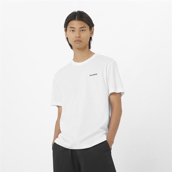 csUrun.UrunSecenek[0].StokKodu_1