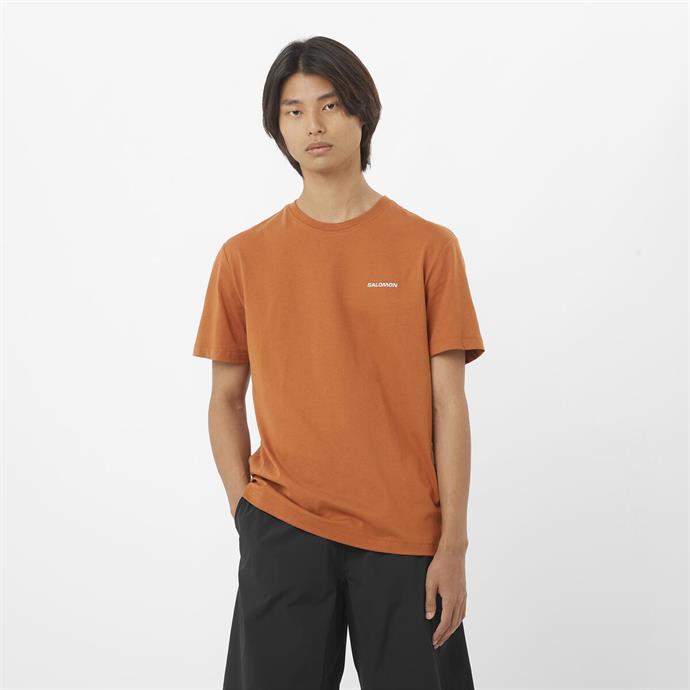 csUrun.UrunSecenek[0].StokKodu_1