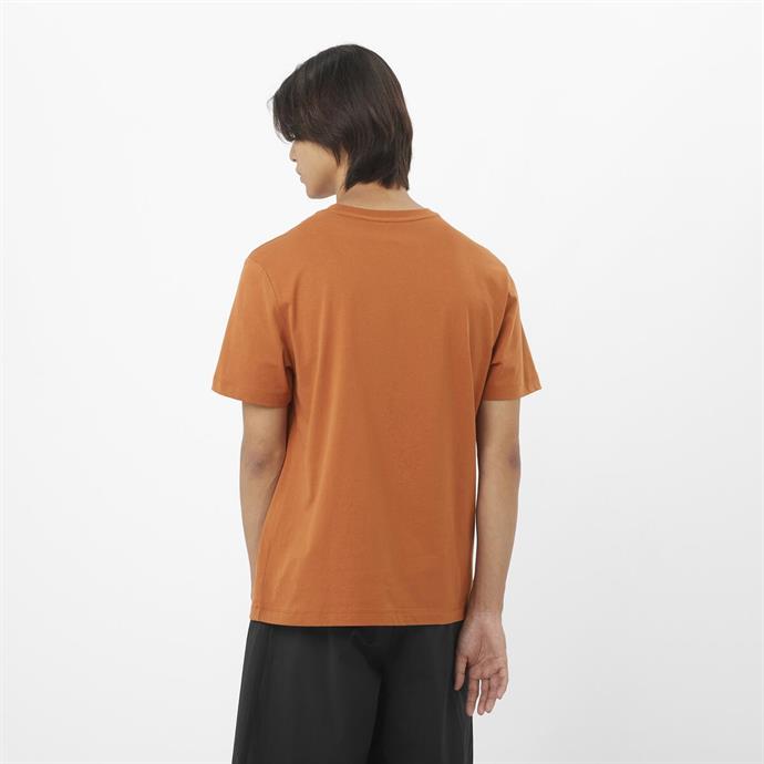 csUrun.UrunSecenek[0].StokKodu_2