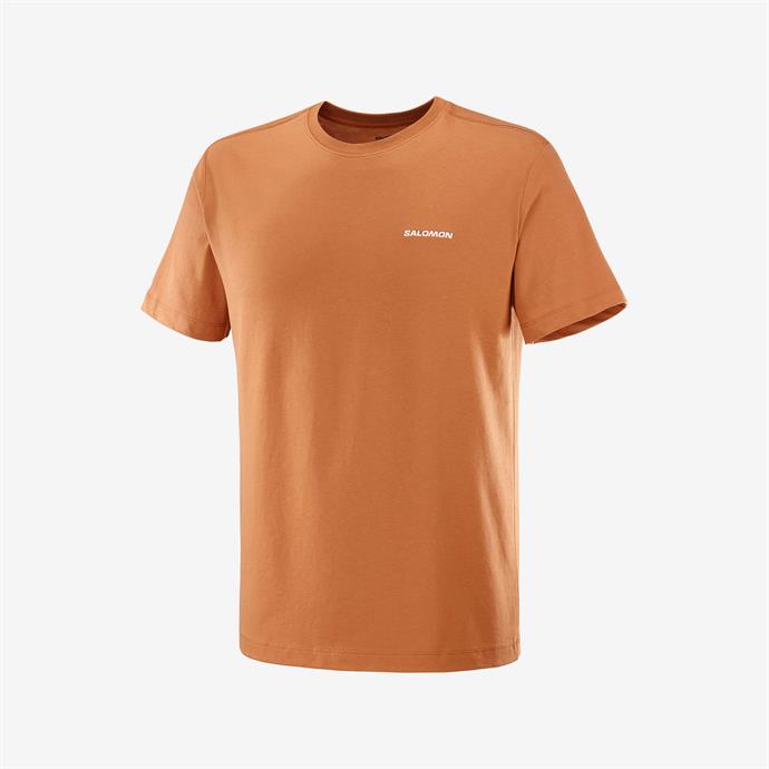 csUrun.UrunSecenek[0].StokKodu_0