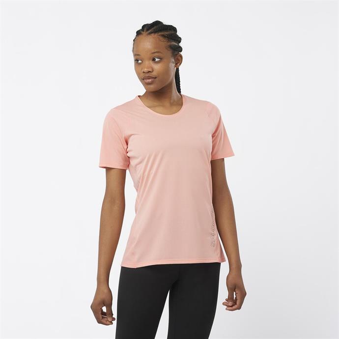 csUrun.UrunSecenek[0].StokKodu_0