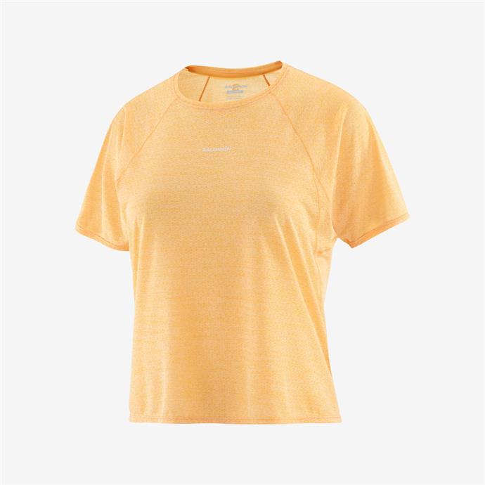 csUrun.UrunSecenek[0].StokKodu_0