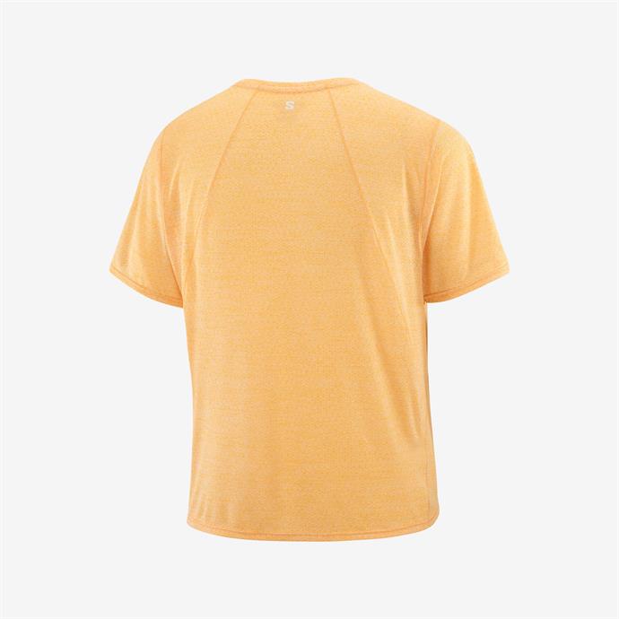 csUrun.UrunSecenek[0].StokKodu_1