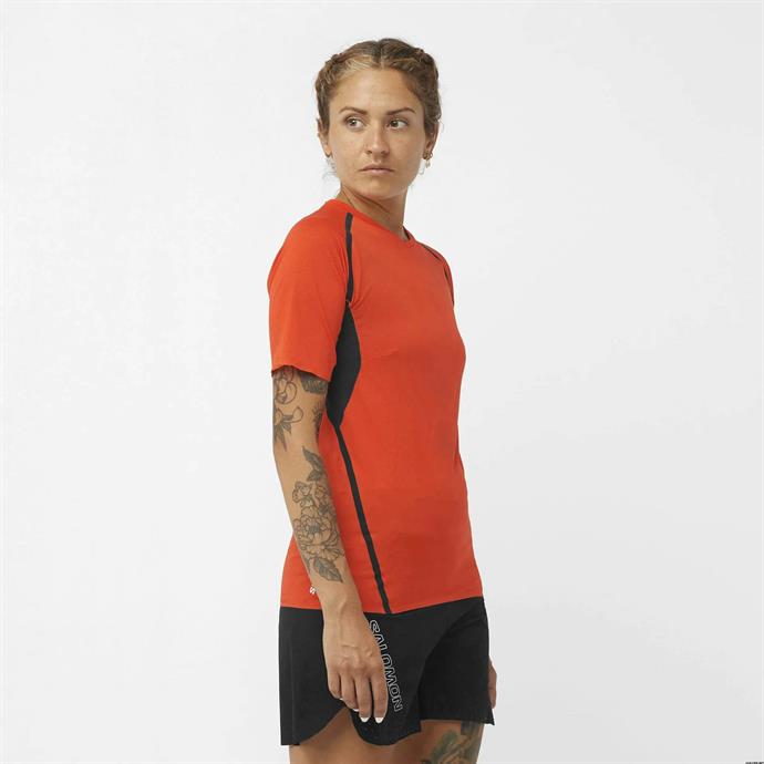 csUrun.UrunSecenek[0].StokKodu_0