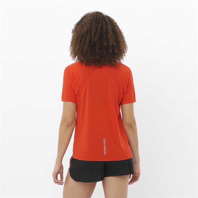 csUrun.UrunSecenek[0].StokKodu_2