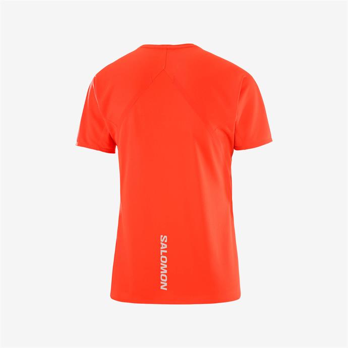 csUrun.UrunSecenek[0].StokKodu_1