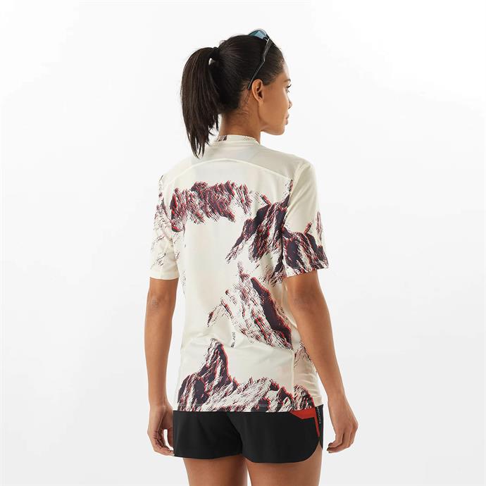 csUrun.UrunSecenek[0].StokKodu_1