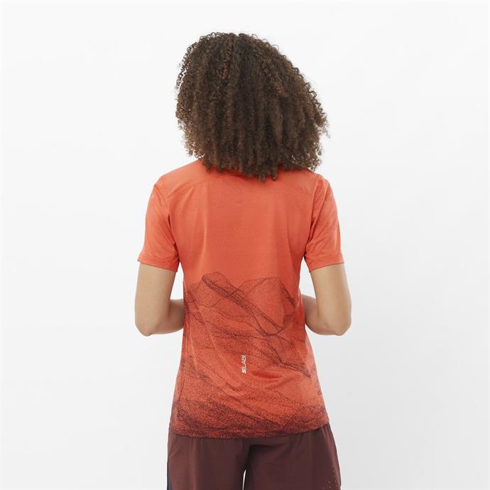 csUrun.UrunSecenek[0].StokKodu_3