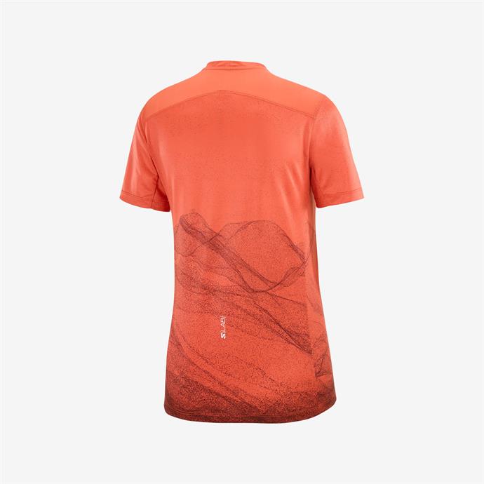 csUrun.UrunSecenek[0].StokKodu_2