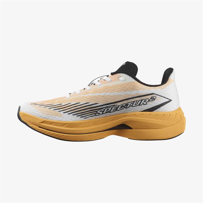 csUrun.UrunSecenek[0].StokKodu_2