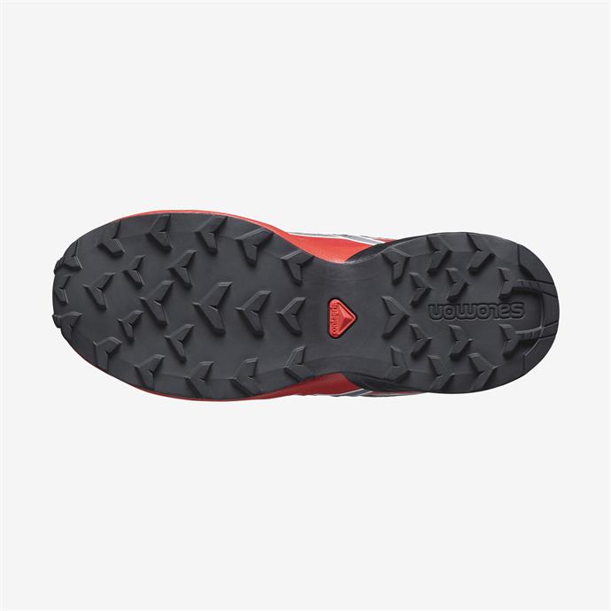 csUrun.UrunSecenek[0].StokKodu_3