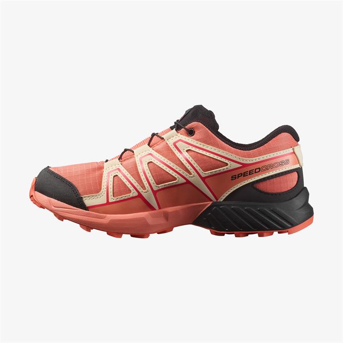 csUrun.UrunSecenek[0].StokKodu_2