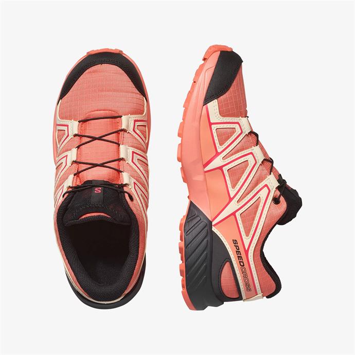 csUrun.UrunSecenek[0].StokKodu_1